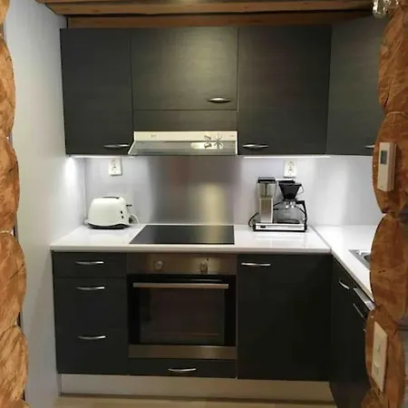 度假居 Keloparitalon Yllaes-naekymaellae Ja Paljulla