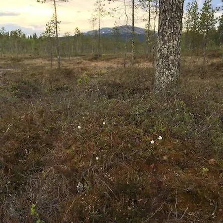 Сasa de vacaciones Keloparitalon Yllaes-naekymaellae Ja Paljulla Ylläsjärvi