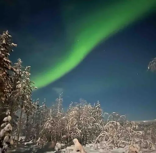 Keloparitalon Yllaes-naekymaellae Ja Paljulla Ylläsjärvi