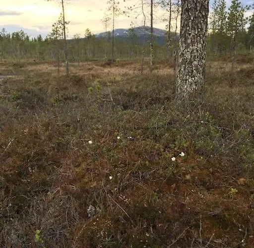 Σπίτι διακοπών Keloparitalon Yllaes-naekymaellae Ja Paljulla Ylläsjärvi